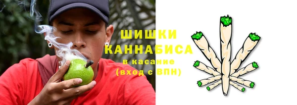apvp Балабаново