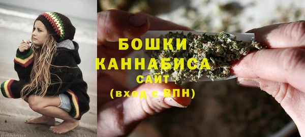 сатива Белоозёрский