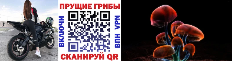 Псилоцибиновые грибы Magic Shrooms  Котово 